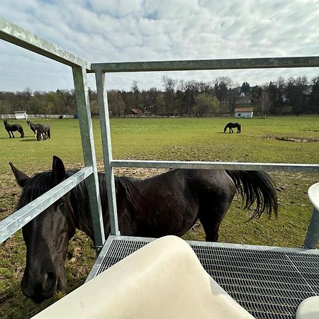 Glamping - Stylova Maringotka V Srdci Ladova Kraje, Pobliz Hlavniho Mesta Prahy Stribrna Skalice 外观 照片