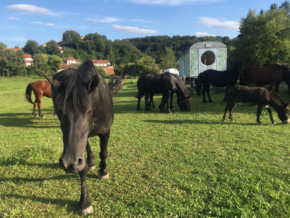 Glamping - Stylova Maringotka V Srdci Ladova Kraje, Pobliz Hlavniho Mesta Prahy Stribrna Skalice 外观 照片