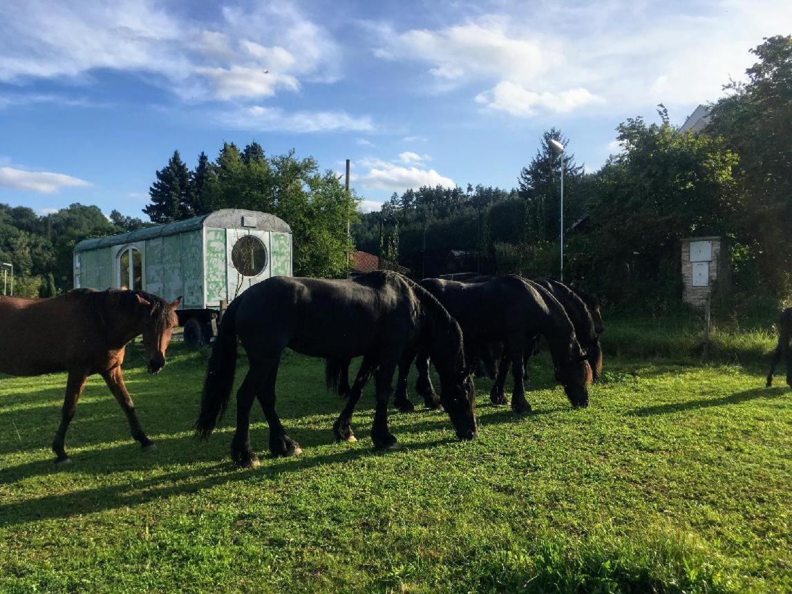 Glamping - Stylova Maringotka V Srdci Ladova Kraje, Pobliz Hlavniho Mesta Prahy Stribrna Skalice 外观 照片