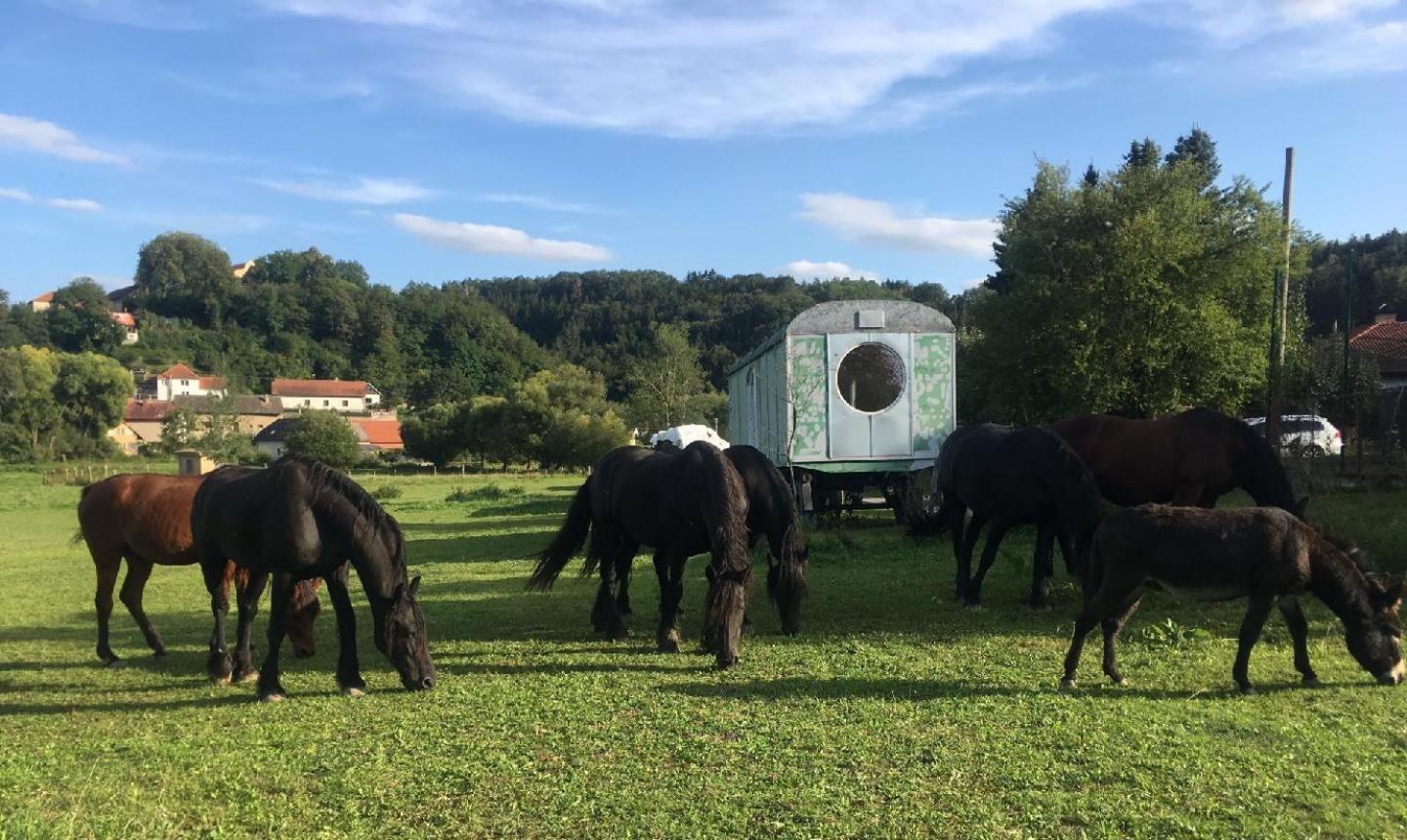 Glamping - Stylova Maringotka V Srdci Ladova Kraje, Pobliz Hlavniho Mesta Prahy Stribrna Skalice 外观 照片