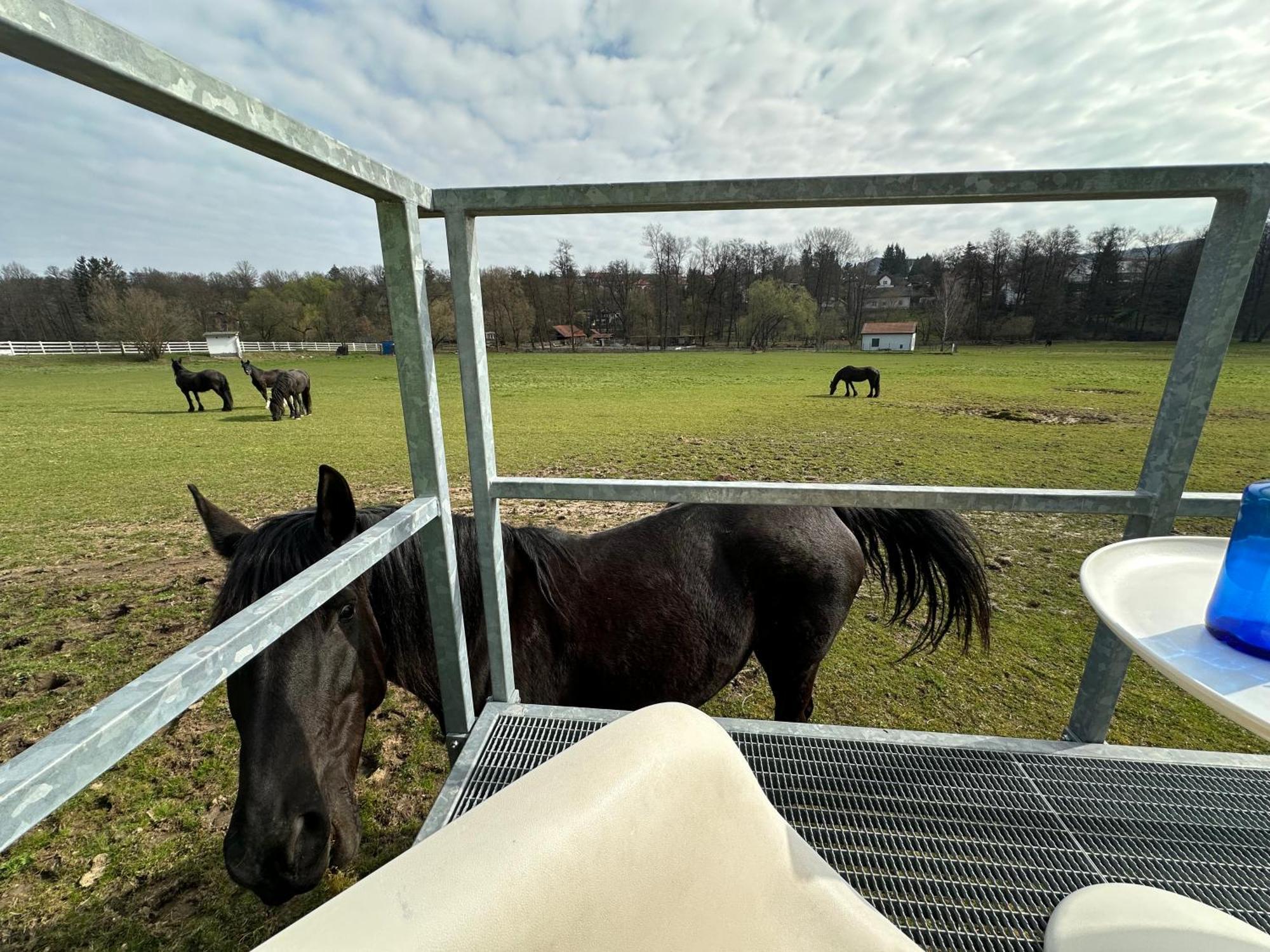 Glamping - Stylova Maringotka V Srdci Ladova Kraje, Pobliz Hlavniho Mesta Prahy Stribrna Skalice 外观 照片